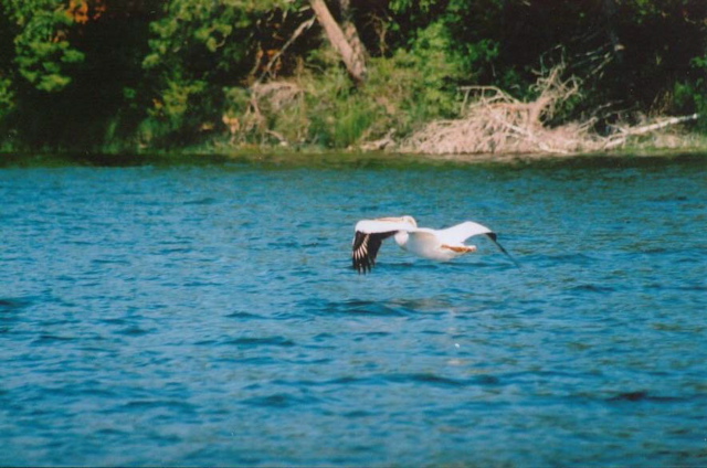 fishing_08